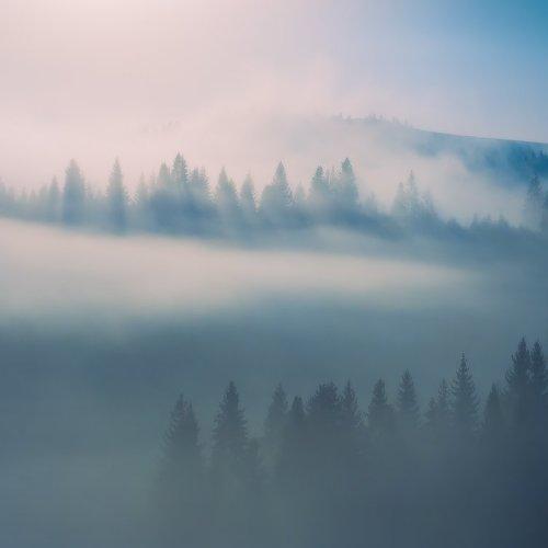 Превью фотографии фотографа Виталий Башкатов