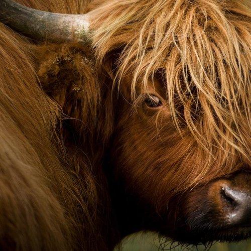 Preview Photographer\'s photo Patryk Ignacak