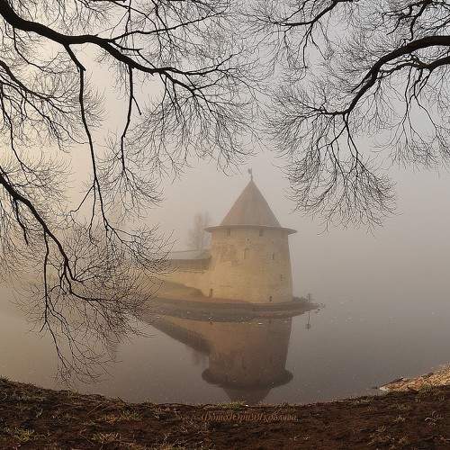 Preview Photographer\'s photo Юрий Яковлев