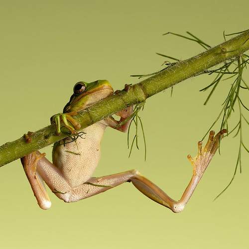 Превью фотографии фотографа Etkind Elizabeth