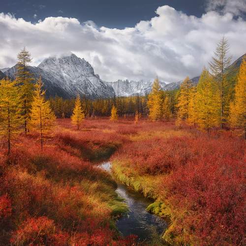 Превью фотографии фотографа Dmitry Medyancev