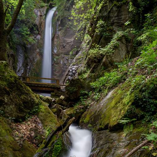 Превью фотографии фотографа Георгиев Младен
