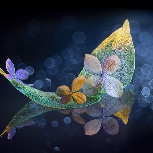 Превью фотографии фотографа Игорь Копцев