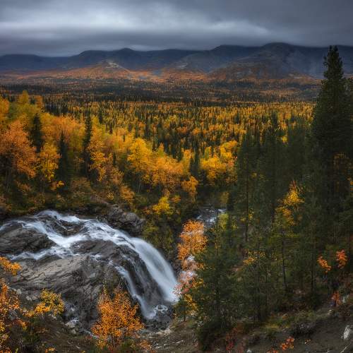 Превью фотографии фотографа Марголин Алексей