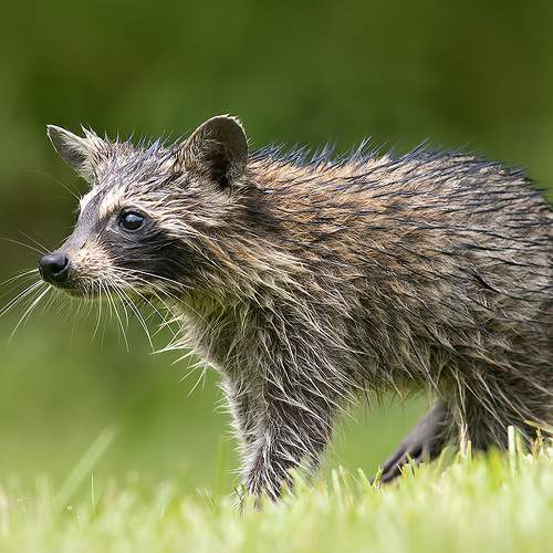 Preview Photographer\'s photo Etkind Elizabeth