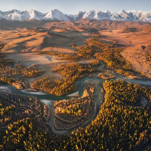 Превью фотографии фотографа Харитонычев Михаил