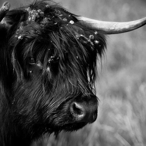 Preview Photographer\'s photo Patryk Ignacak