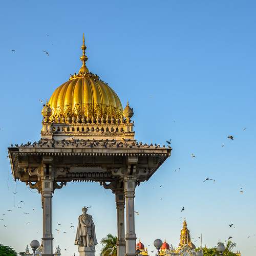 Превью фотографии фотографа Basavaraj M