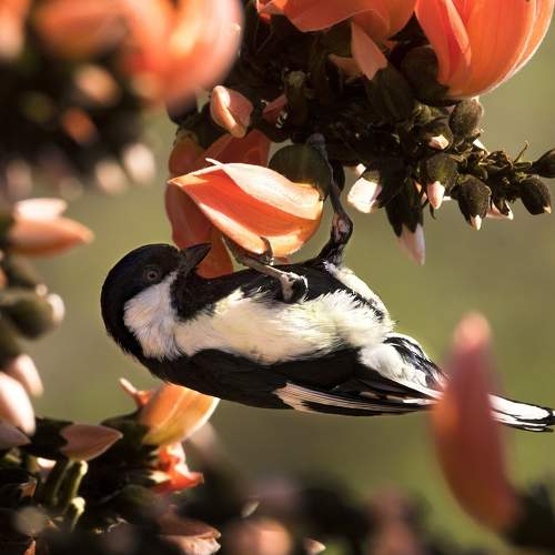 Preview Photographer\'s photo parth kansara