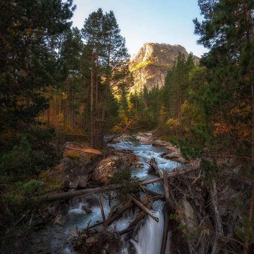 Preview Photographer\'s photo Кахарова Наргиза