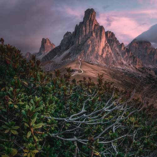 Превью фотографии фотографа de Franzoni Thomas