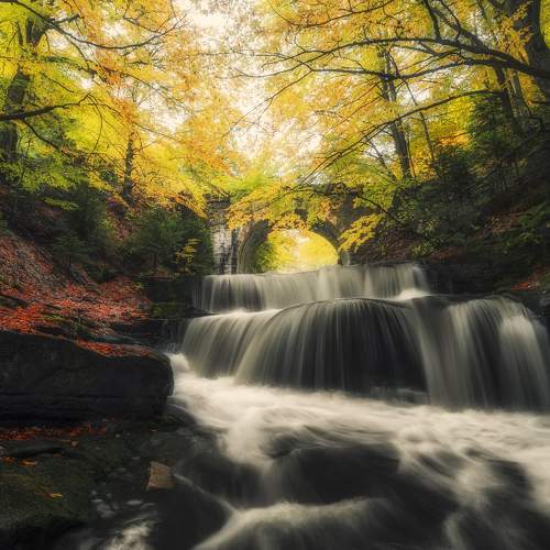 Превью фотографии фотографа Маджаров Костадин