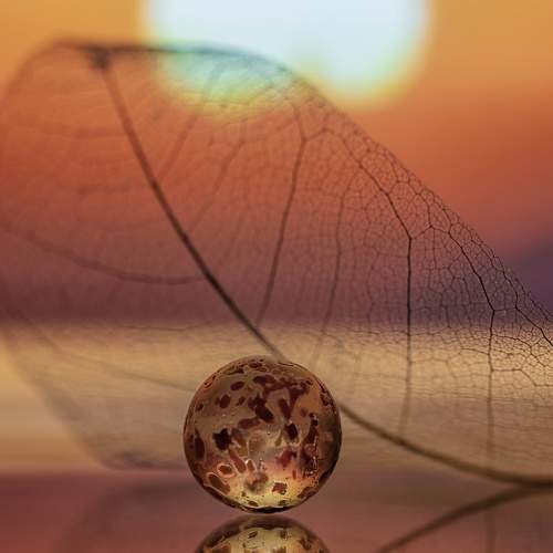 Превью фотографии фотографа Mariya Obidina