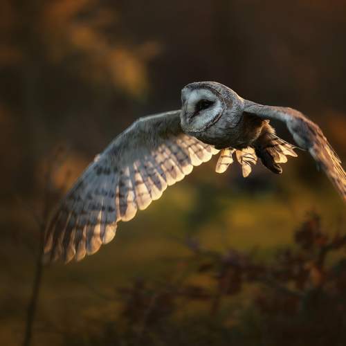 Preview Photographer\'s photo Michaela Firešová