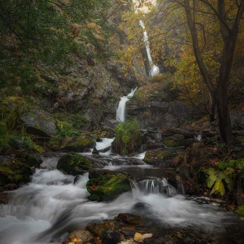 Превью фотографии фотографа Helen Vasilieva