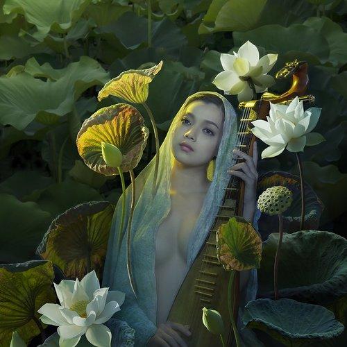 Preview Photographer\'s photo duong quoc dinh