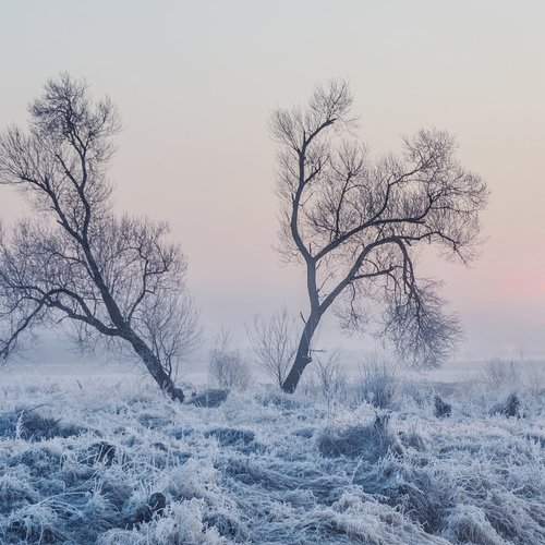 Превью фотографии фотографа Katarzyna Gritzmann