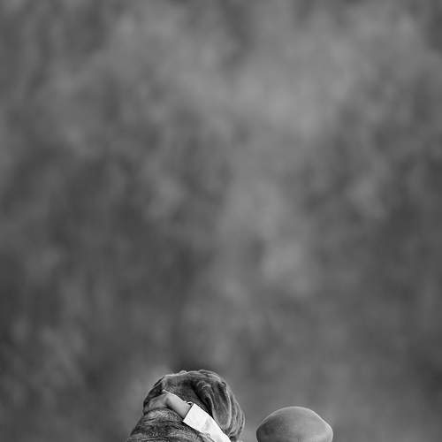 Превью фотографии фотографа Erika Tinoco