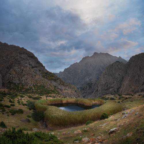 Preview Photographer\'s photo Helen Vasilieva