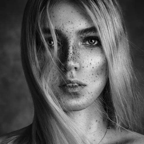 Preview Photographer\'s photo Mousavi Navid