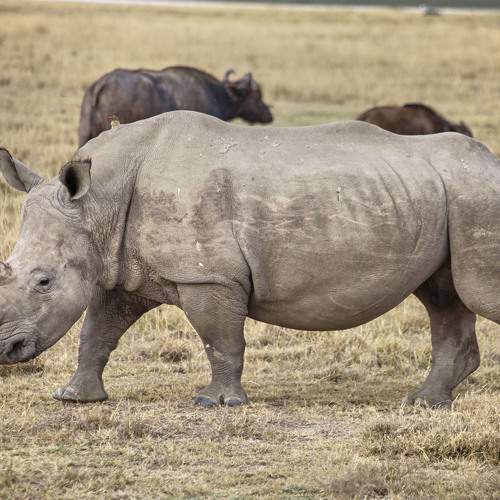 Preview Photographer\'s photo akmal