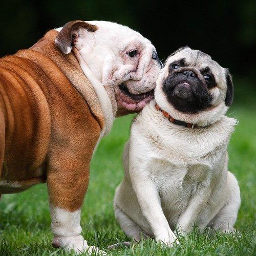 Превью фотографии фотографа KI-FA.ru