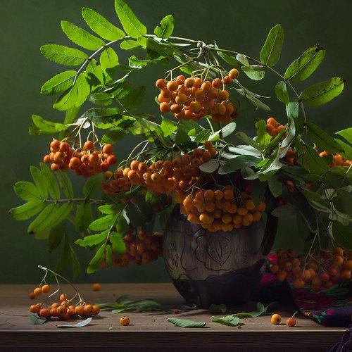 Превью фотографии фотографа Киливник Наталия(Metron)