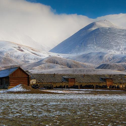 Превью фотографии фотографа holod