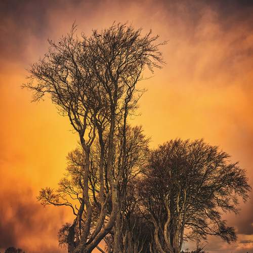 Превью фотографии фотографа Vasilev Kris