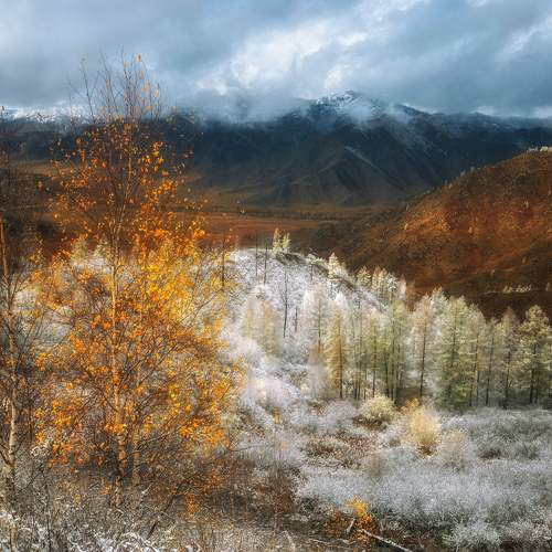 Превью фотографии фотографа Лора Павлова