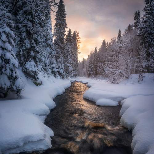 Превью фотографии фотографа Марголин Алексей