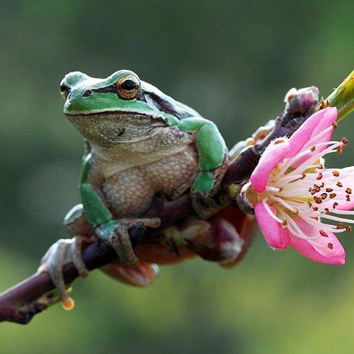 Preview Photographer\'s photo mehmet