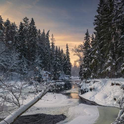 Превью фотографии фотографа Andris Polikevics