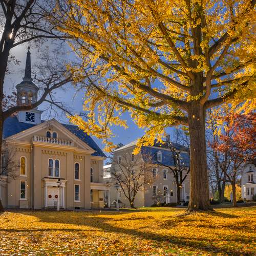 Превью фотографии фотографа Donald Reese