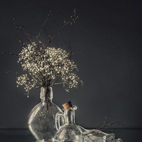 Preview Photographer\'s photo MVO (Марк Орлов)