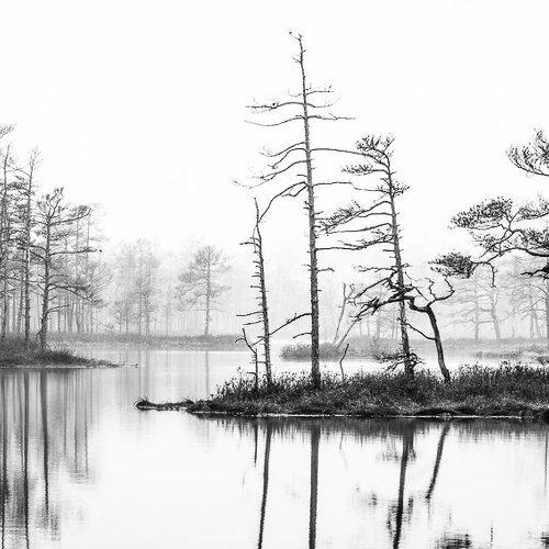 Preview Photographer\'s photo Eriks Zilbalodis