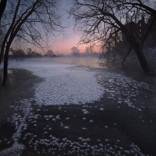 Preview Photographer\'s photo Дмитрий Шишкин