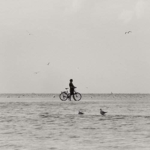 Preview Photographer\'s photo Algan