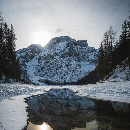 Превью фотографии фотографа Dmitrijs Rjabcevs