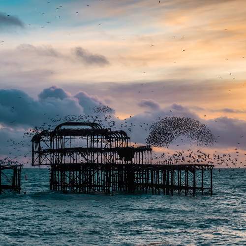 Preview Photographer\'s photo Sergejs Barkans