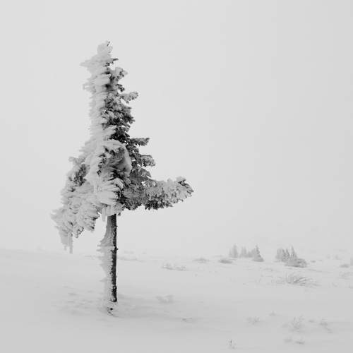 Превью фотографии фотографа Vania Tonova