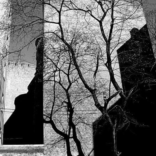 Preview Photographer\'s photo BLUZ