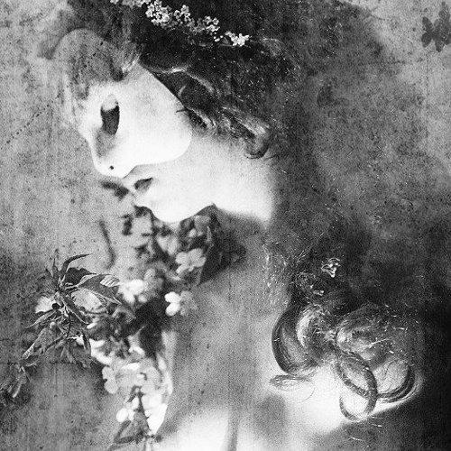 Preview Photographer\'s photo Pavla Hralova