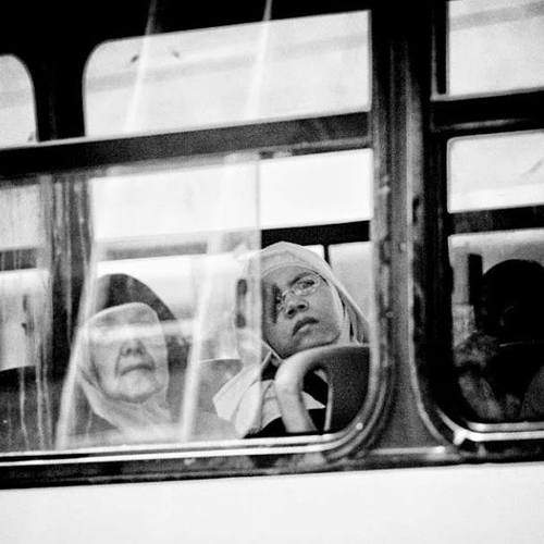 Превью фотографии фотографа sergey