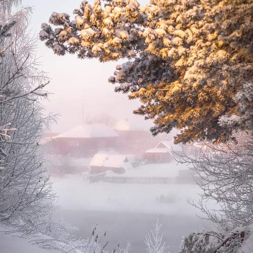 Превью фотографии фотографа Шуплецов Алексей
