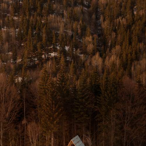 Preview Photographer\'s photo Vania Tonova