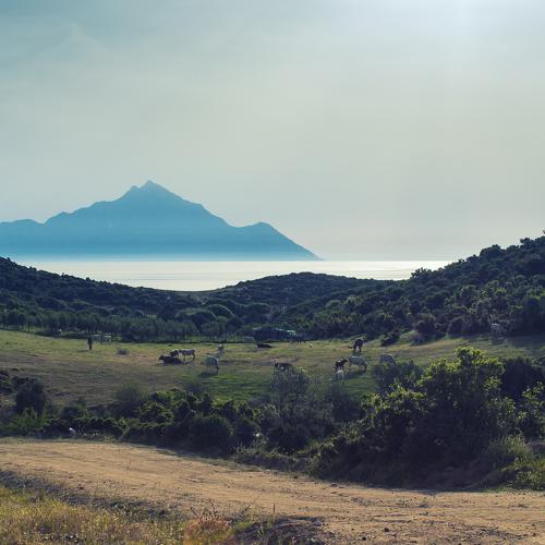 Превью фотографии фотографа miroslav disanski