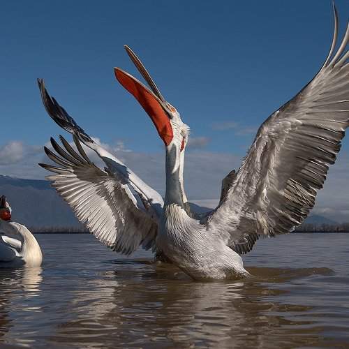 Preview Photographer\'s photo Sergey Zlatkov