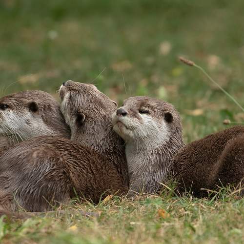 Preview Photographer\'s photo MARIA KULA