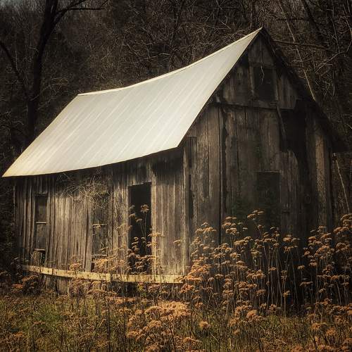 Превью фотографии фотографа Sparks Joe